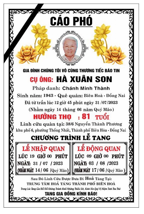 Ha Xuan Son