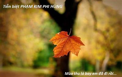 Pham Kim Phi Hung (1)