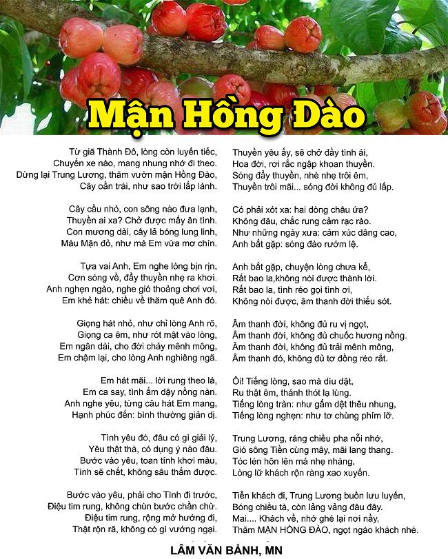 MAN HONG DAO