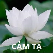 Cam ta-1