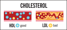 good-bad-cholesterol
