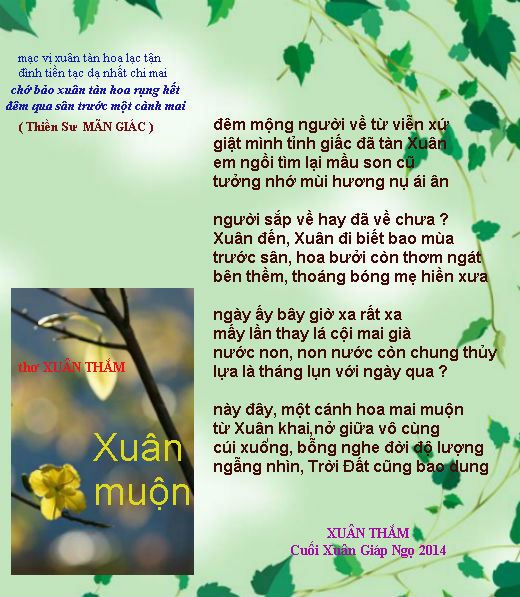 xuan_muon
