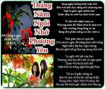 thang-5-ngoi-nho-phuong-yeu