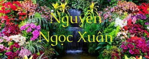 Nguyen Ngoc Xuan (1)