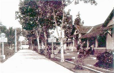 Đường vào khu trung tâm Nhà thương điên Biên Hòa (năm 1934).