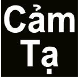 camta1-large-content